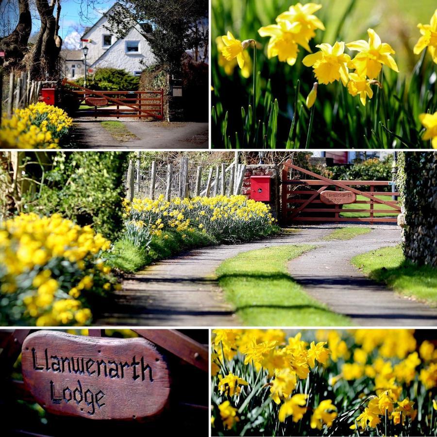 Llanwenarth Cottage A Beautiful Place To Just Be. Абергавенни Экстерьер фото